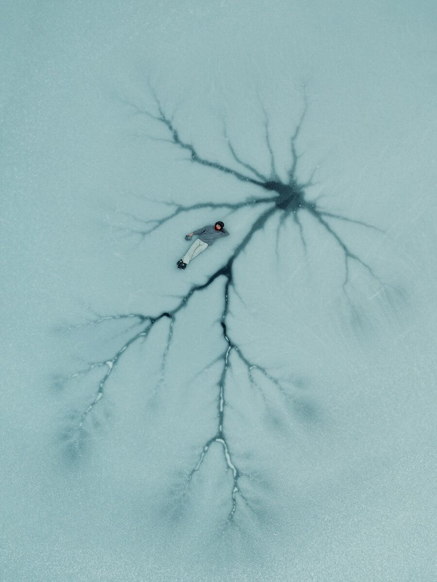 a drawing of a spider